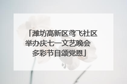 潍坊高新区鸢飞社区举办庆七一文艺晚会 多彩节目颂党恩